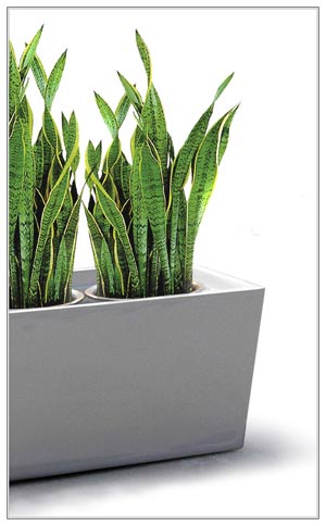 Fibreglass Planter - Trough