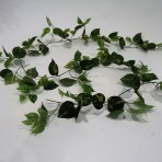 POTHOS GARLAND 260CM LONG