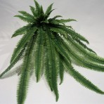 120CM BOSTON FERN