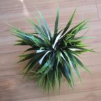 GRASS BUSH 35CM TWO TONE GREEN