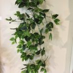 POTHOS BUSH 125CM LONG
