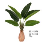 TRAVELLERS PALM 35CM