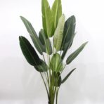 STRELITZIA 180CM