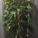 150CM BAMBOO TREE