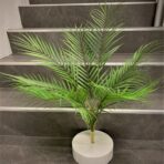 ARECA PALM 75CM