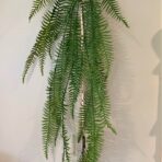 FERN FRONDS HANGING PLANT