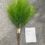 80CM PLASTIC PALM