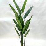 160CM STRELITZIA X 13 LEAVES
