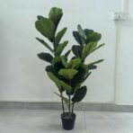 LYRATA 120CM X 3 STEMS