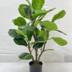 LYRATA 90CM X 3 STEMS