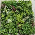 WALL PANEL 100CM X 100CM MIXED PLANTS